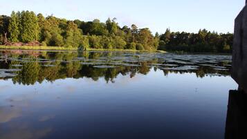 A calm lake with reflections of trees and a clear sky.
