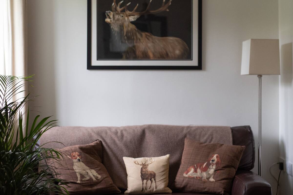 A living room with a brown leather sofa, a framed deer picture on the wall, and a floor lamp.