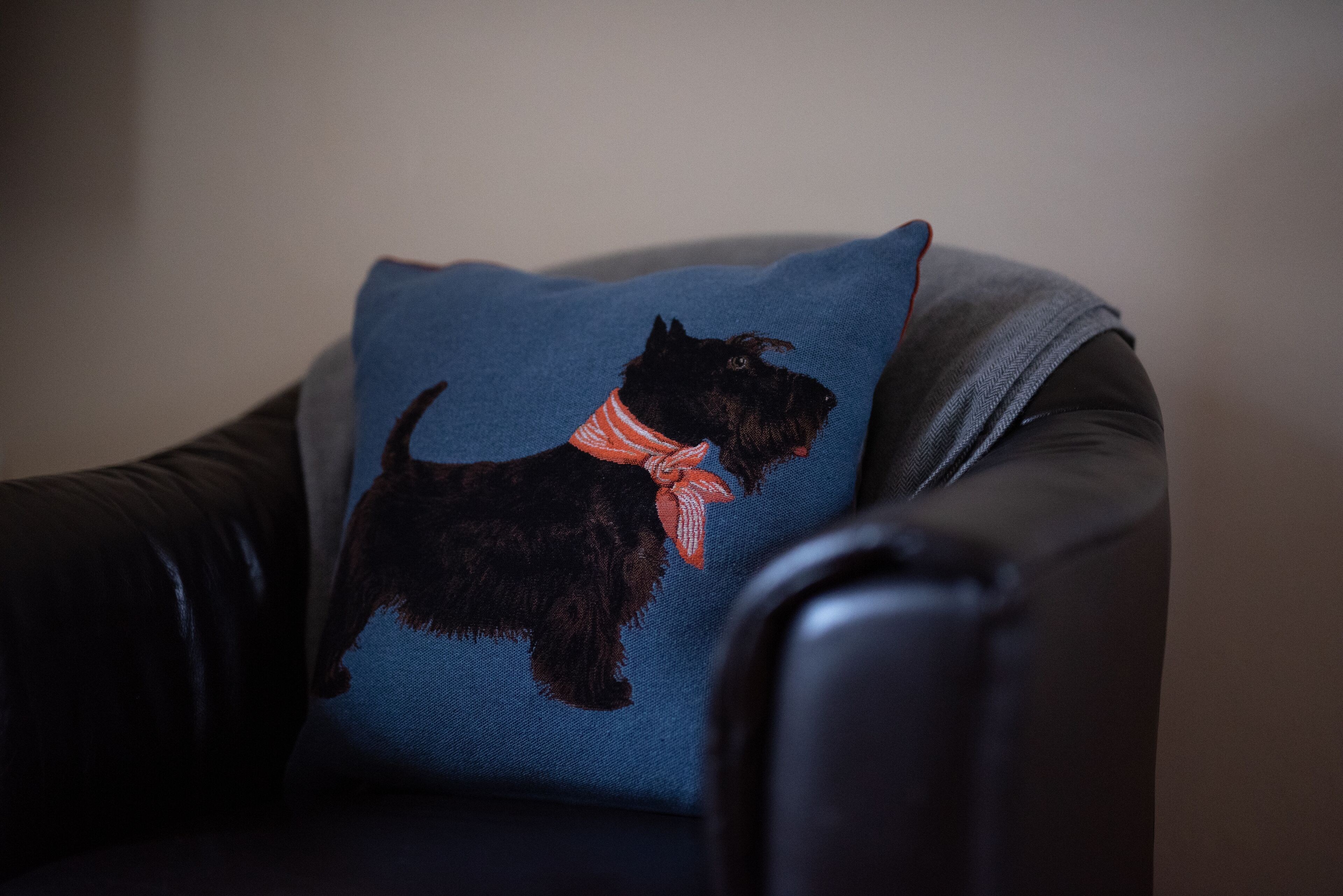 Una butaca de cuero negro con un cojín azul con una ilustración de un perro.