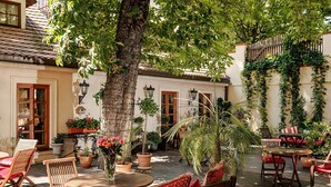 Une terrasse extérieure avec des meubles en bois, des plantes en pot et un sol carrelé.