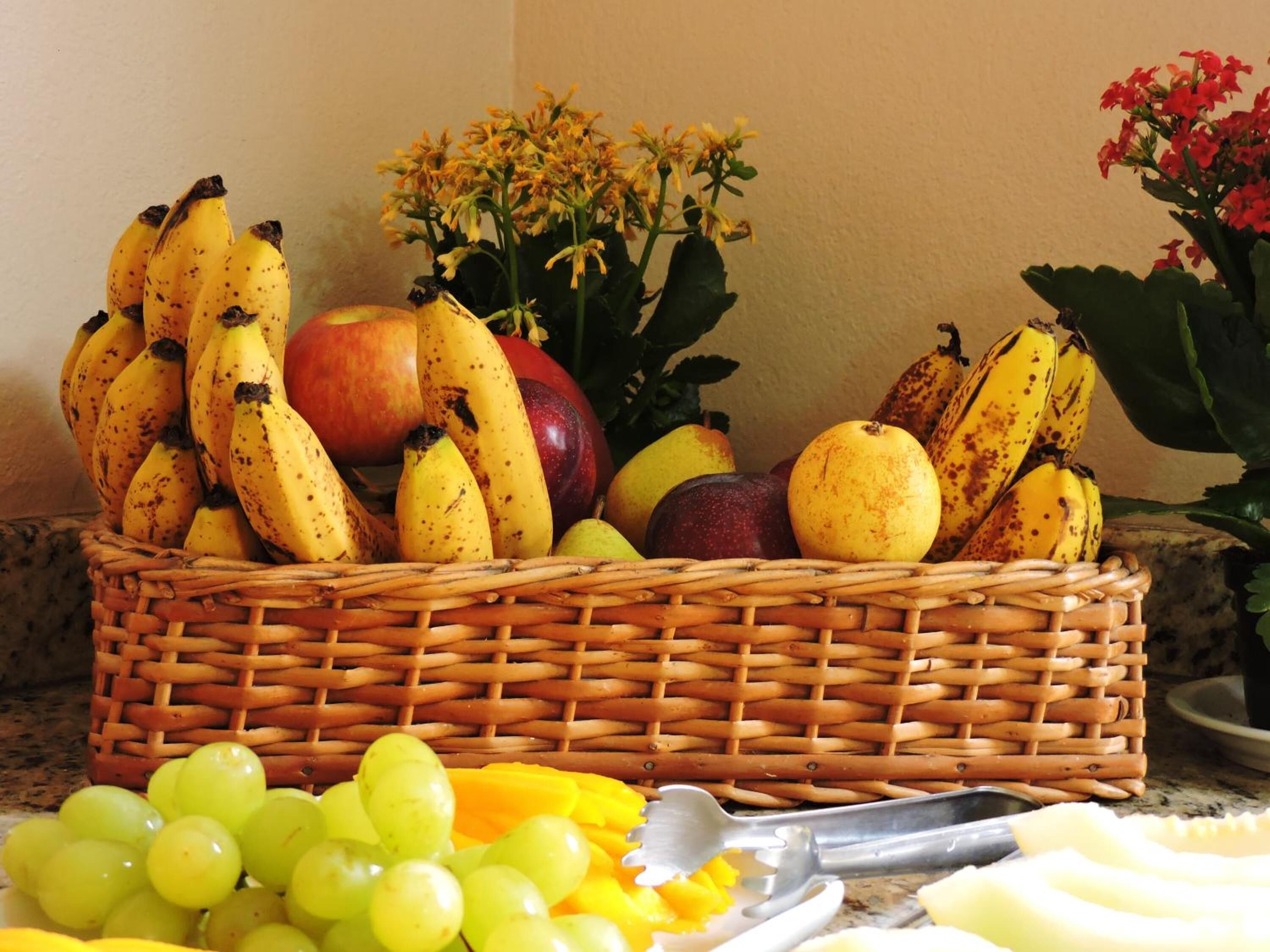 Photo - Pousada Brisa de Paraty