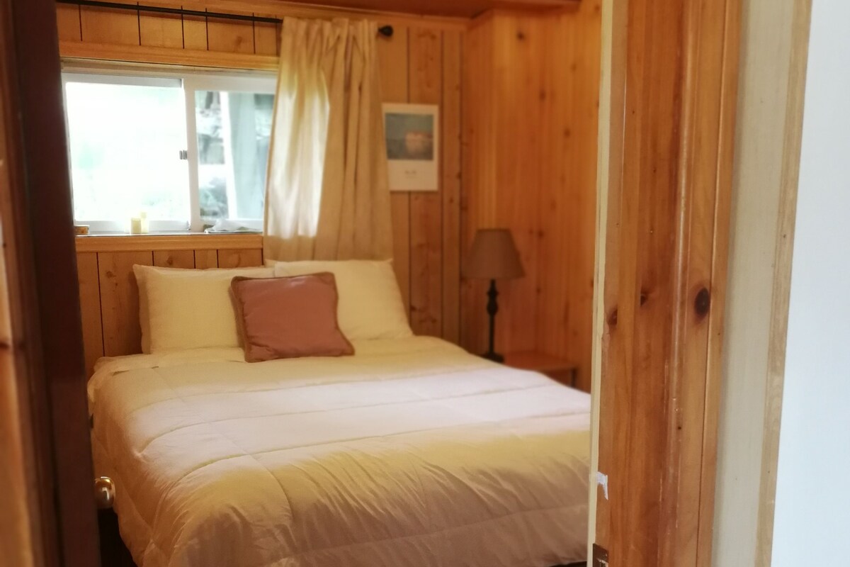 A wooden-paneled room with a bed, a window with curtains, and a lamp.