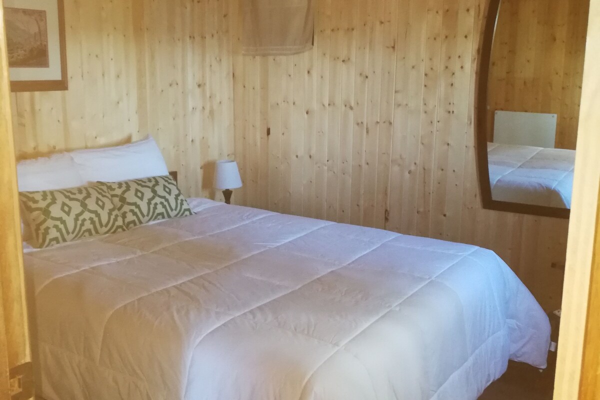 A wooden-paneled room with a bed, a nightstand, a lamp, and a mirror.