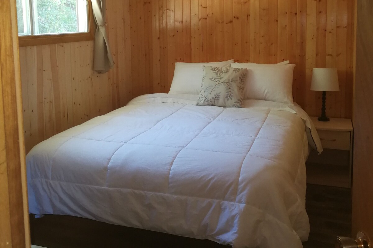 A wooden-paneled room with a bed, a window with curtains, a bedside table with a lamp, and a door.