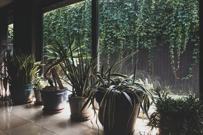 Télévision à écran plat