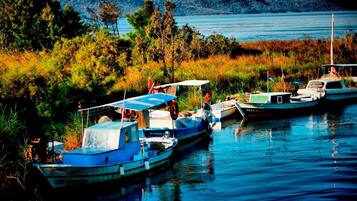 Une rangée de bateaux est amarrée sur une étendue d’eau calme, entourée d’une végétation luxuriante et avec des collines en arrière-plan.