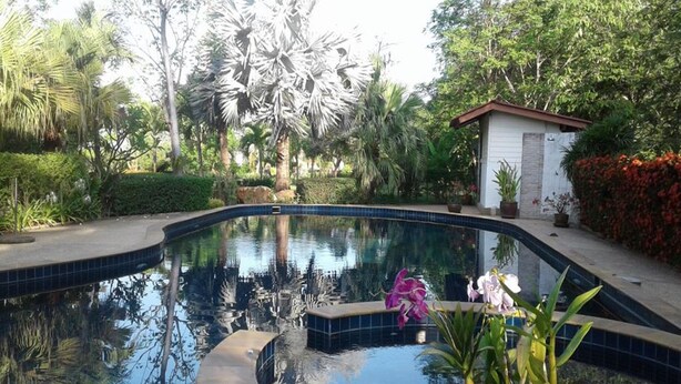Una piscina al aire libre, sombrillas