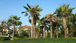Garden - Panorama sea view at Boulevard Cha-am (Cha-am)