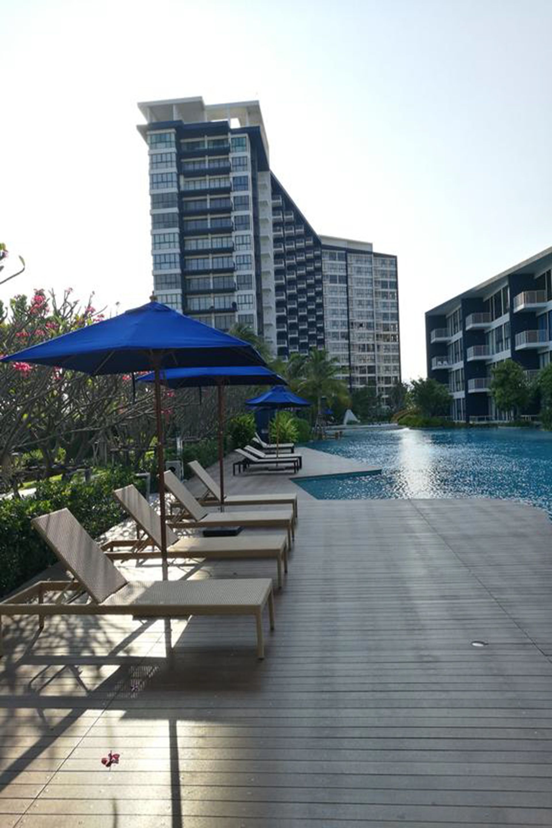 Un área junto a la piscina con sillones de descanso y sombrillas, una piscina y modernos edificios altos al fondo.