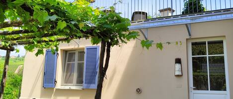 A house with a small garden, a pergola with climbing plants, a white door, and a window with blue shutters.