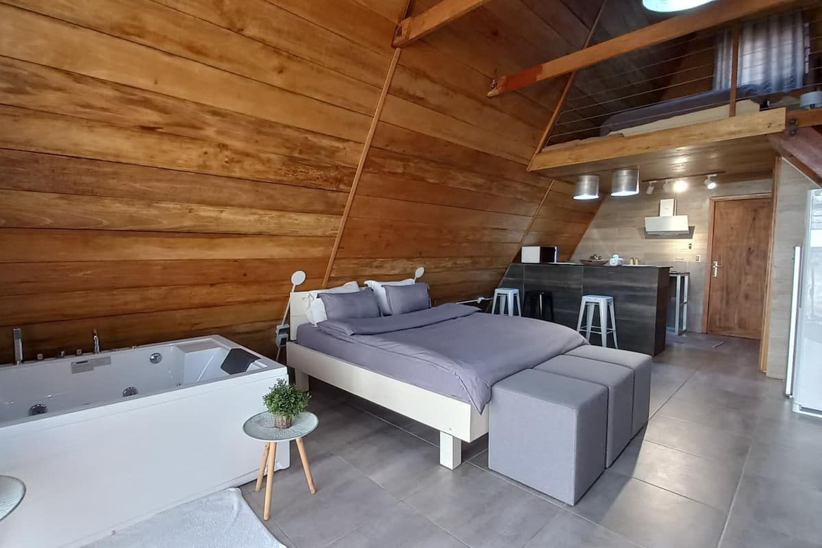 A modern loft bedroom with a large bed, a separate seating area, a kitchen, and a bathroom with a bathtub.