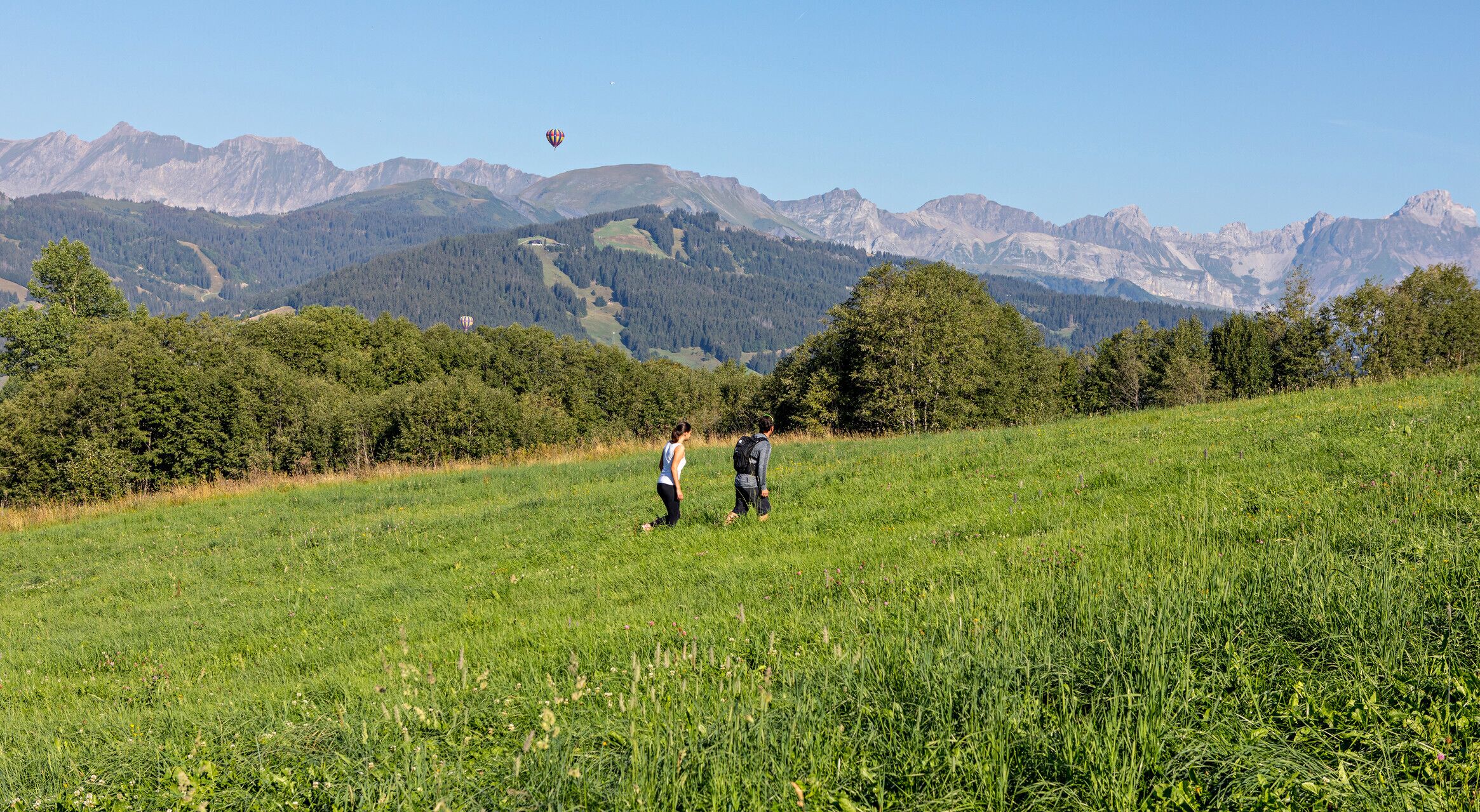 Un champ herbeux où deux personnes se promènent, avec des montagnes en arrière-plan et un ballon à air chaud.