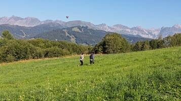 Un champ herbeux où deux personnes se promènent, avec des montagnes en arrière-plan et un ballon à air chaud.