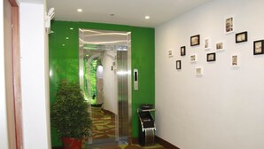 Ein Flur mit grüner Wand, einem Blumentopf, einem gemusterten Boden und gerahmten Bildern an der Wand.