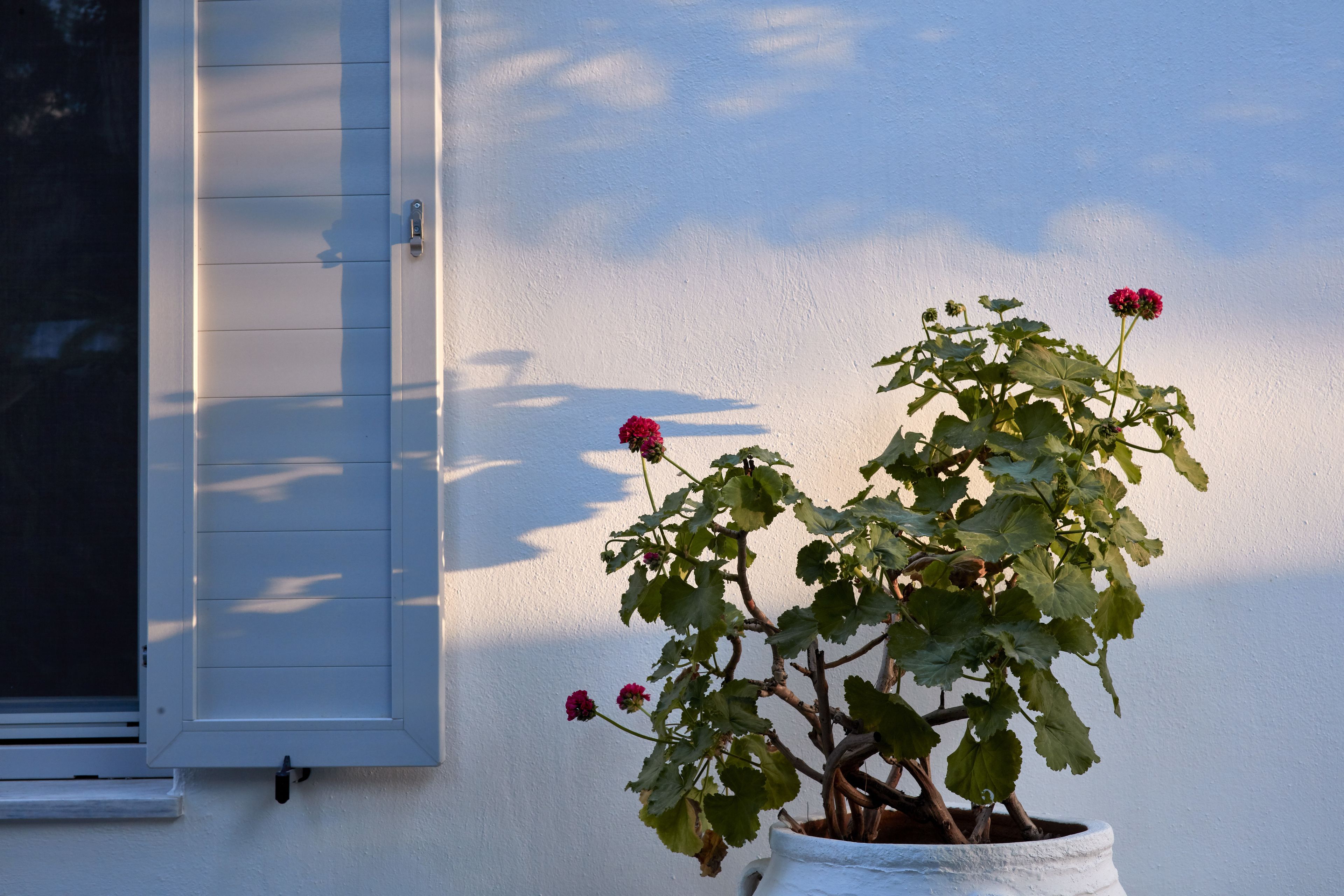 Foto - Mykonos Town Suites