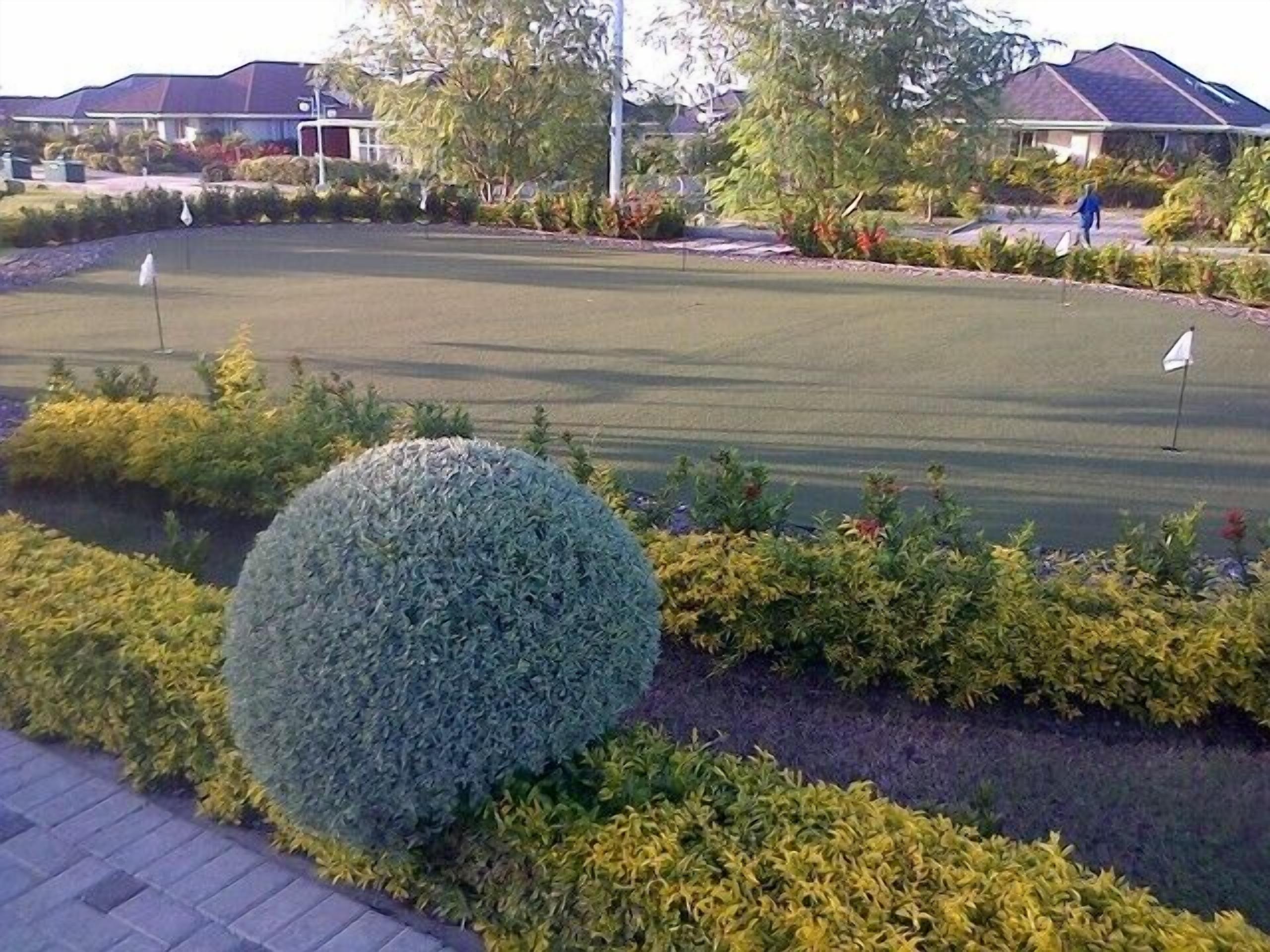 A well-maintained golf course with neatly trimmed grass, a large spherical shrub, and a flag marking the hole.