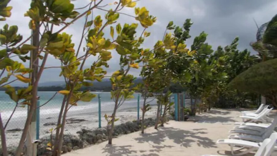 Ocho Rios Tranquility at Coolshade VII