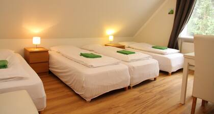Olga Guesthouse