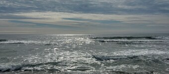 OCEAN BLOCK SEASIDE PARK! Book for 2026! Dog friendly!