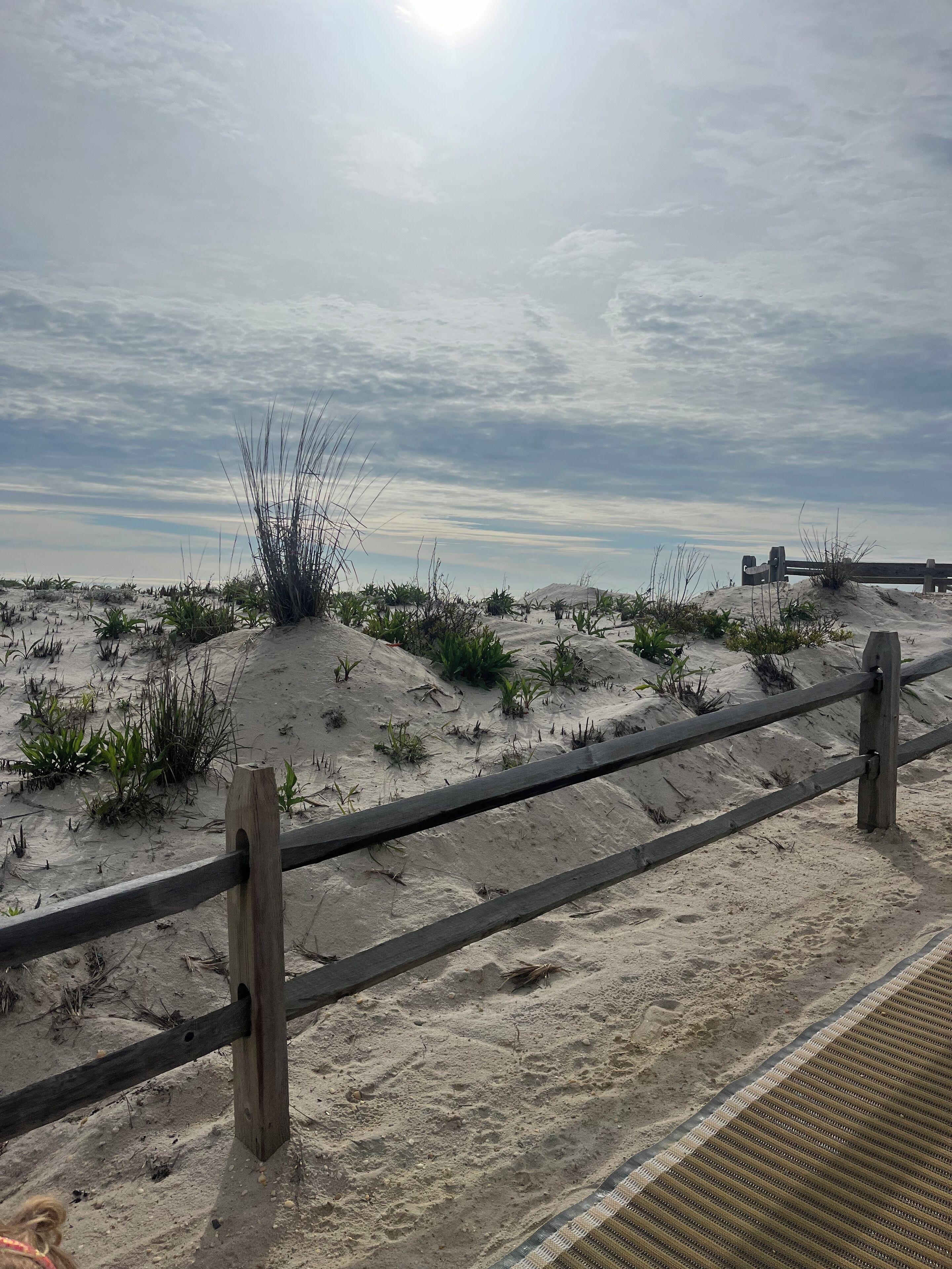 A sandy beach with a wooden fence and sparse vegetation.