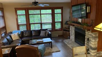 Smart TV, fireplace, Netflix, DVD player