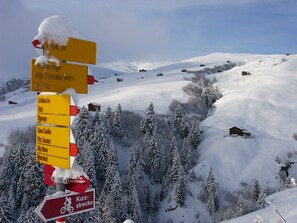 Deportes de invierno y ski