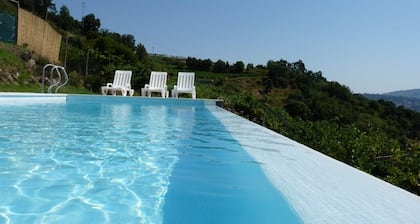 Haus in Bio-Bauernhof mit privatem Pool und herrlichem Blick auf den Fluss Douro
