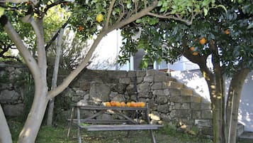 Área da propriedade