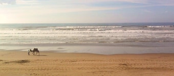 Peaceful home near the sea, with, 3 separate living rooms, 3 kitchens,3 showers 