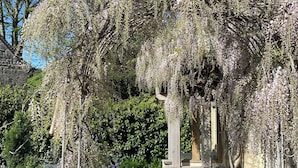 A gated entrance with a sign reading "Cottage," surrounded by flowering trees and a stone building.