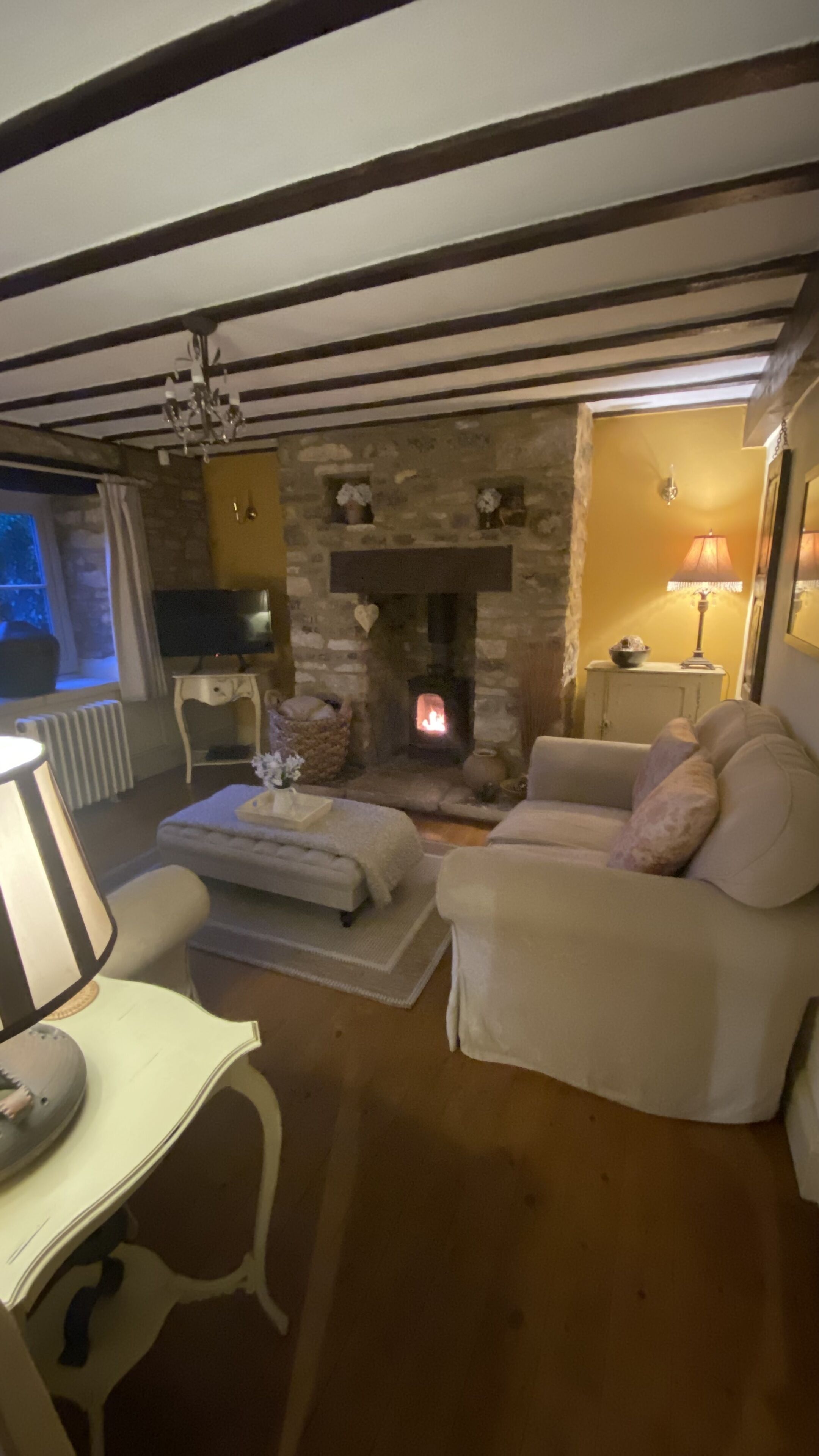 Flat-screen TV, fireplace, DVD player, books