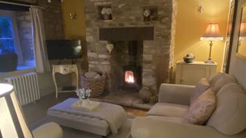 Flat-screen TV, fireplace, DVD player, books