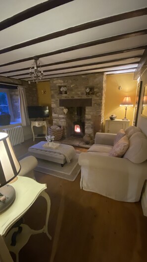 Flat-screen TV, fireplace, DVD player, books