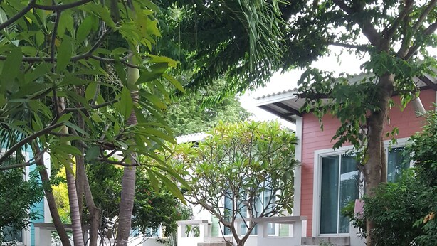 Un jardín con senderos de piedra, árboles y un edificio al fondo.