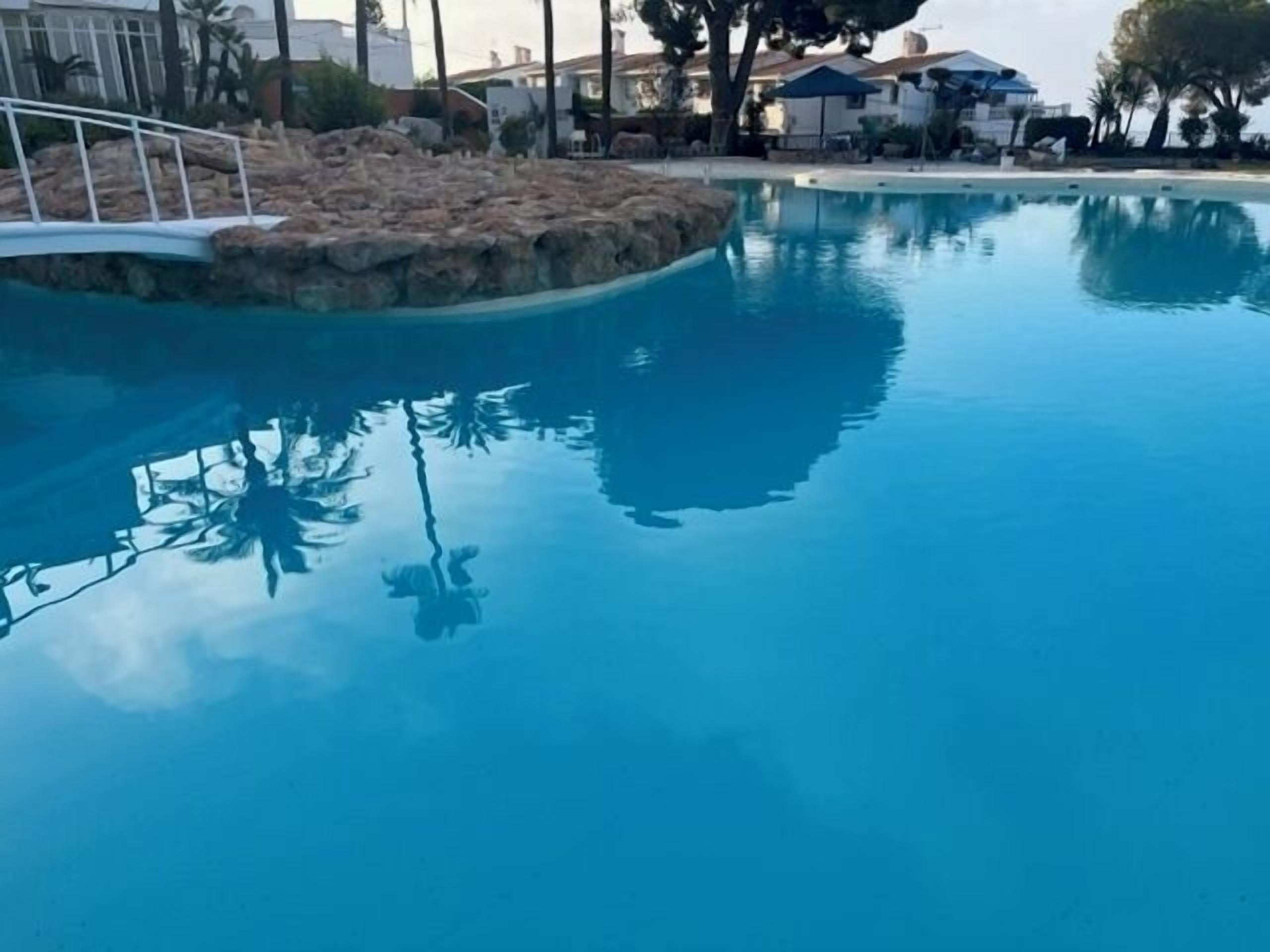 A clear swimming pool with a stone border, surrounded by palm trees and a white bridge.