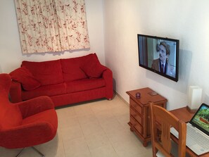 Smart TV, fireplace, books