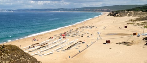 Perto da praia, espreguiçadeiras 