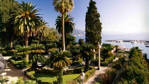 Un jardin en bord de mer, avec des palmiers et une vue sur l’océan.