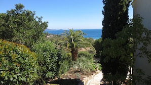 A garden path leading to a view of the sea, surrounded by lush greenery and a tall tree. - Luxury villa, heated pool, panoramic sea view, air conditionin (Roquebrune-Sur-Argens)
