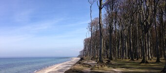 *** Rest only 300m from the Baltic Sea ***