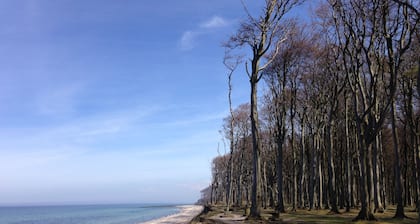 *** Erholung nur 300m von der Ostsee ***