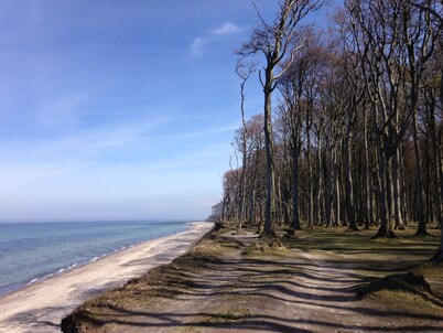 *** Rest only 300m from the Baltic Sea ***