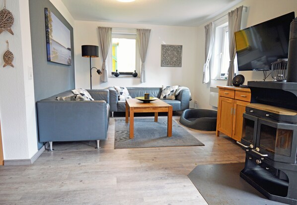 Älytelevisio, takka, videopelejä, DVD-soitin