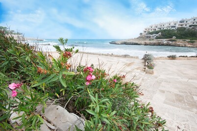 Dream holidays in Mallorca near the sea, pool area, free WiFi