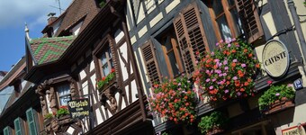 Center Alsace, house 2 to 5 pers. Between Colmar and Strasbourg. Exceptional view