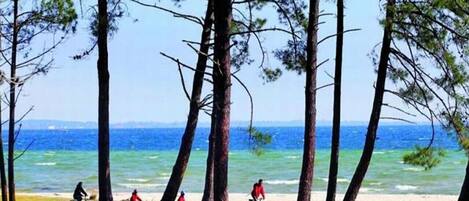 Una spiaggia nelle vicinanze, lettini da mare