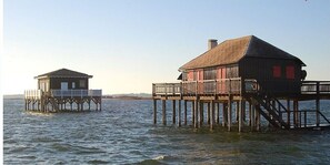 Ulkopuoli