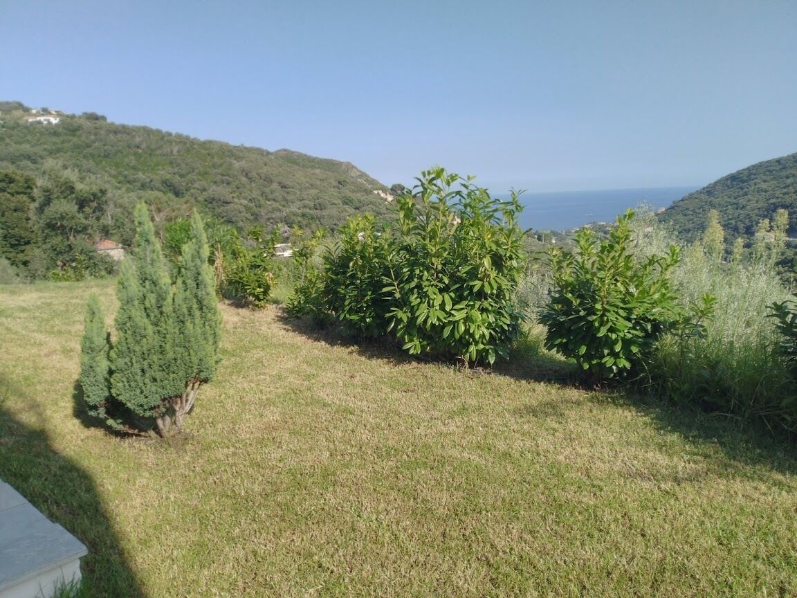 Une zone herbeuse avec de petits arbres et une vue sur un paysage vallonné en arrière-plan.
