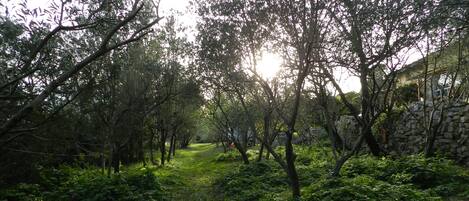 Overnattingsstedets uteområder