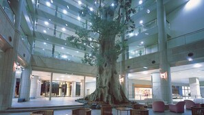 A spacious atrium with a large artificial tree, multiple floors, and seating areas. - Yakushima Iwasaki Hotel (Yakushima)